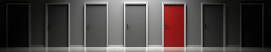 ID_visual_site.png